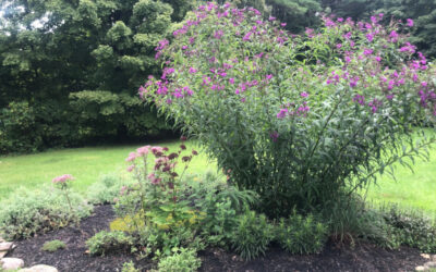 Garden Maintenance in Pepperell, MA