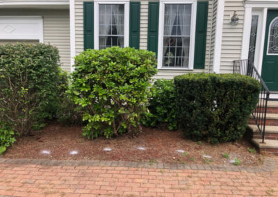 Shrub Removal and Installation in Nashua, NH