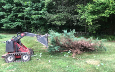 Garden Maintenance in Amherst, NH.