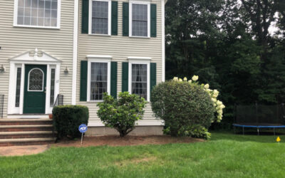 Shrub Removal and Installation in Nashua, NH