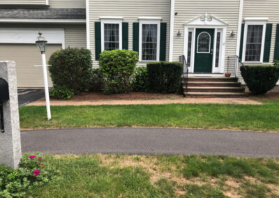 Shrub Removal and Installation in Nashua, NH