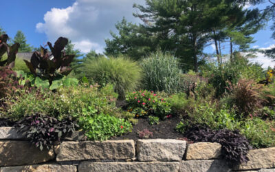 Garden Maintenance in North Conway, NH