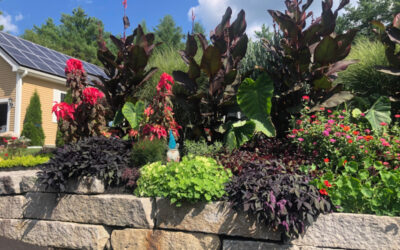 Garden Maintenance in North Conway, NH