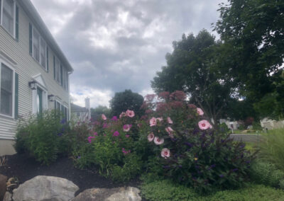 Greenleaf’s Garden Design returned to this client in Nashua, NH to check and maintain the gardens.