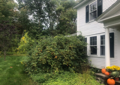 For this pruning job in Chelmsford, MA, Greenleaf’s Garden Design pruned rhododendrons, lilacs, and quince. The job needed one person and took 2 hours. Our client was thrilled!