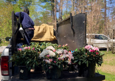 Garden Design and Garden Installation in Pepperell, MA.
