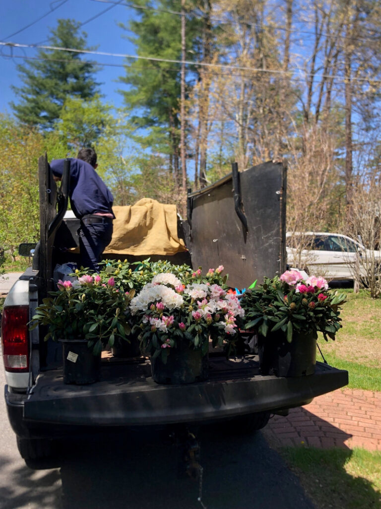 Garden Design and Garden Installation in Pepperell, MA.