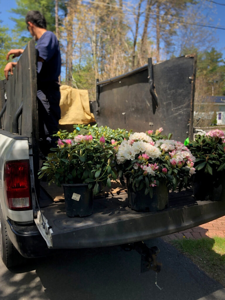 Garden Design and Garden Installation in Pepperell, MA.