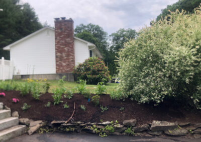 Summer’s here, and it’s the perfect time to give your perennial garden a glow-up! For this garden redesign project in Hudson, NH, we used the Excavator to dig out 10 yards of poor soil and replaced it with seven yards of good soil. Last year , in early July, we planted 100 perennials which were a mix of shade and sun loving. These new perennials really made the spot beautiful. Have questions about your garden redesign or need plant recommendations? Drop us a message or give us a call and let Greenleaf’s Garden Design get your garden blooming!