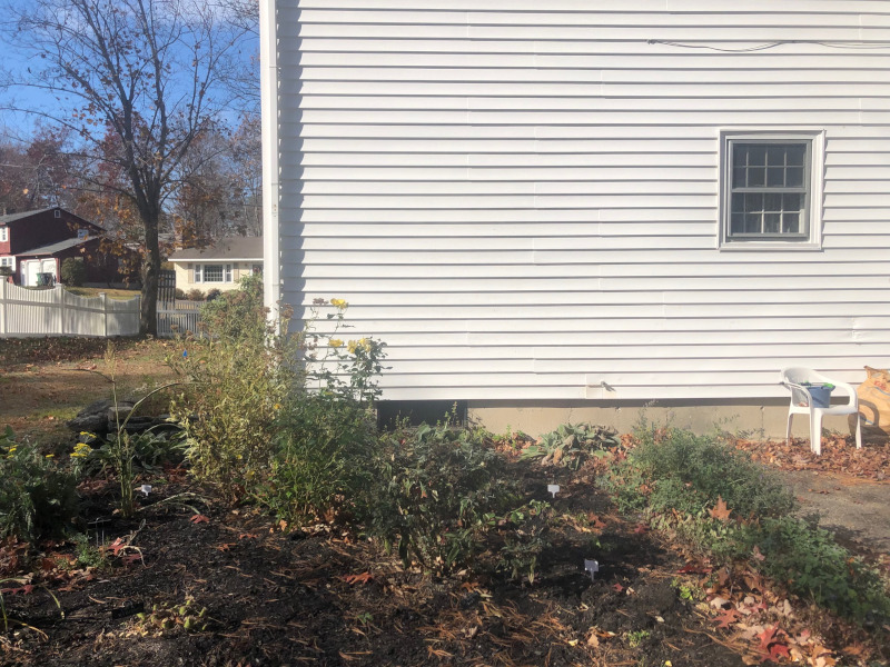 Greenleaf’s Garden Design returned to this garden in Nashua, NH to clean and prep for the colder months. This early November garden still has a lot of green!