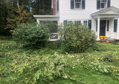 For this pruning job in Chelmsford, MA, Greenleaf’s Garden Design pruned rhododendrons, lilacs, and quince. The job needed one person and took 2 hours. Our client was thrilled!