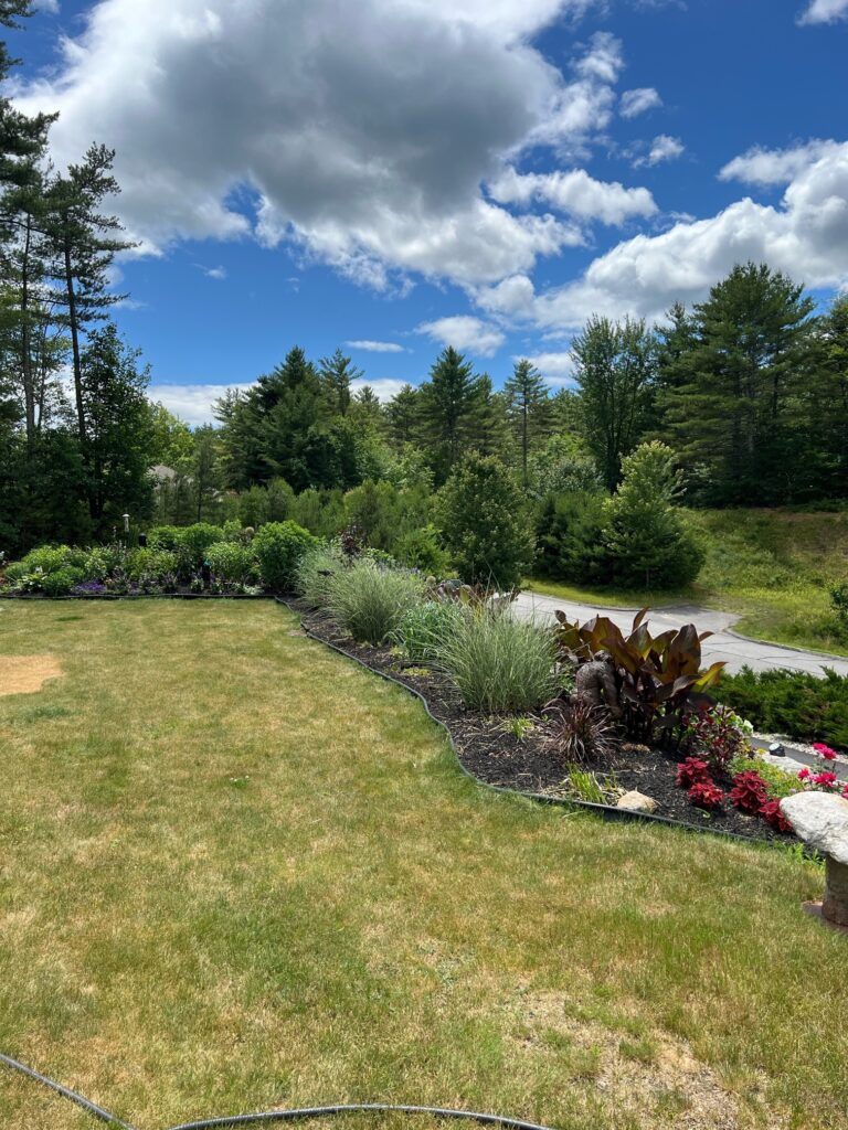 The upper gardens were started in 2019, and the Rock Garden in May of 2024. These 2,500 square foot gardens are the talk of the neighborhood!