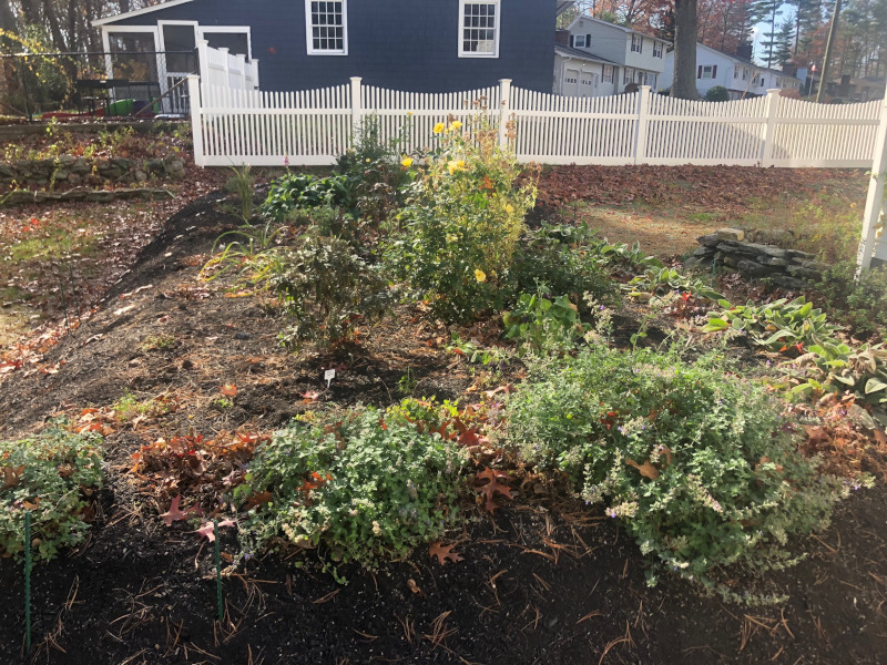 Greenleaf’s Garden Design returned to this garden in Nashua, NH to clean and prep for the colder months. This early November garden still has a lot of green!