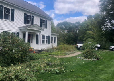 For this pruning job in Chelmsford, MA, Greenleaf’s Garden Design pruned rhododendrons, lilacs, and quince. The job needed one person and took 2 hours. Our client was thrilled!