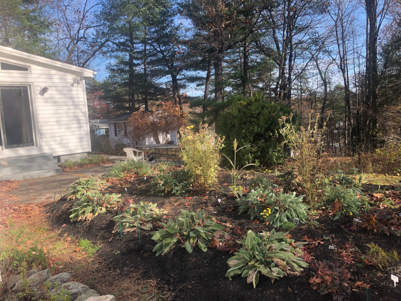 Greenleaf’s Garden Design returned to this garden in Nashua, NH to clean and prep for the colder months. This early November garden still has a lot of green!