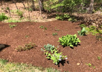 Garden Design and Garden Installation in Townsend, MA.