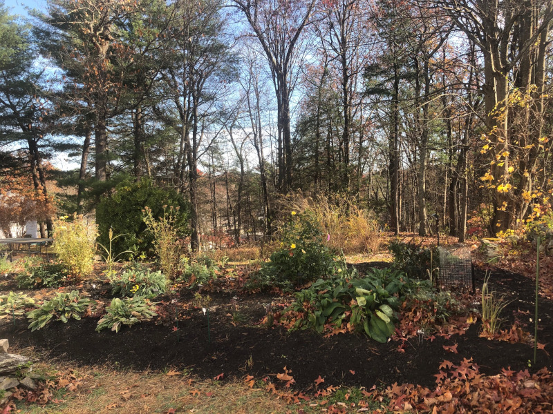 Greenleaf’s Garden Design returned to this garden in Nashua, NH to clean and prep for the colder months. This early November garden still has a lot of green!