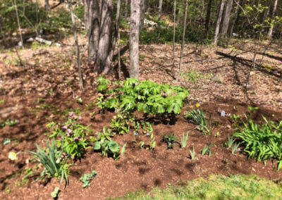 Garden Design and Garden Installation in Townsend, MA.