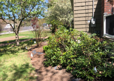 Garden Design and Garden Installation in Pepperell, MA.