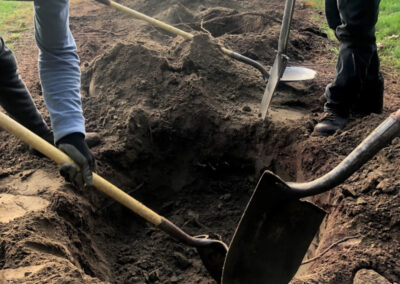 Tree and Shrub Planting in Litchfield, NH