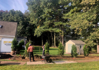 Tree and Shrub Planting in Litchfield, NH