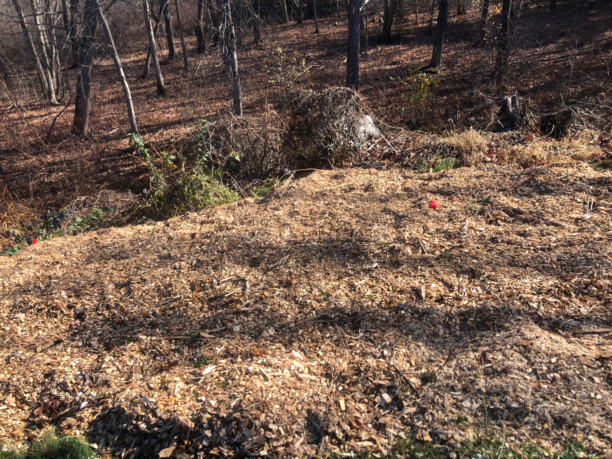 Mulch and Loam installation in Chelmsford, MA.