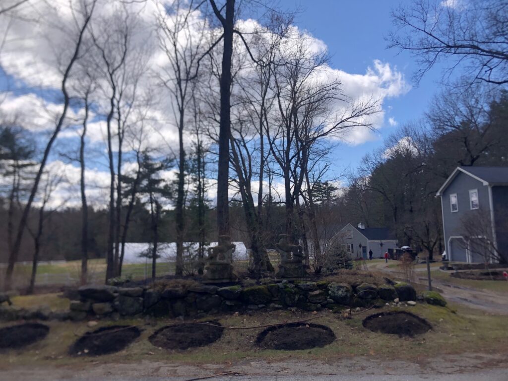 Spring Garden Maintenance in Bedford, NH.