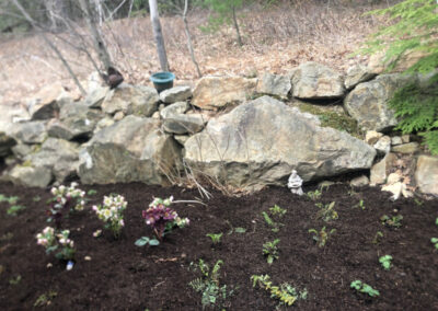 This Garden in Bedford, NH, already had super soil, so we just had to plant 165 colorful perennials. After two hours’ time we finished. The next day we returned to lay down fertilizer and a yard of leaf mulch. Our goal for gardening at Greenleaf’s Garden Design is to connect the client with their perfect garden.