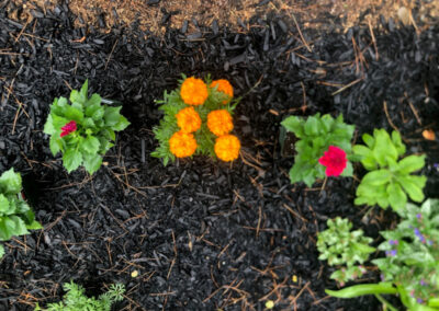 Garden Design and Garden Installation in Nashua, NH.