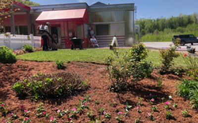 Garden Maintenance and Garden Design in Tyngsboro, MA.