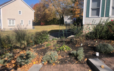 Garden Maintenance in Nashua, NH.