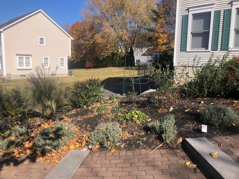 Greenleaf’s Garden Design returned to this Nashua, NH garden for maintenance and fall cleanup. The garden was planted last year.