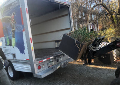 This Byfield, MA client had to move his plants from Brookline to Byfield. It took an hour to drive there. We unloaded the U-Haul truck with the Dingo Forks. It took an hour for the crew from Greenleaf’s Garden Design to move the 15 planter boxes/whiskey barrels.