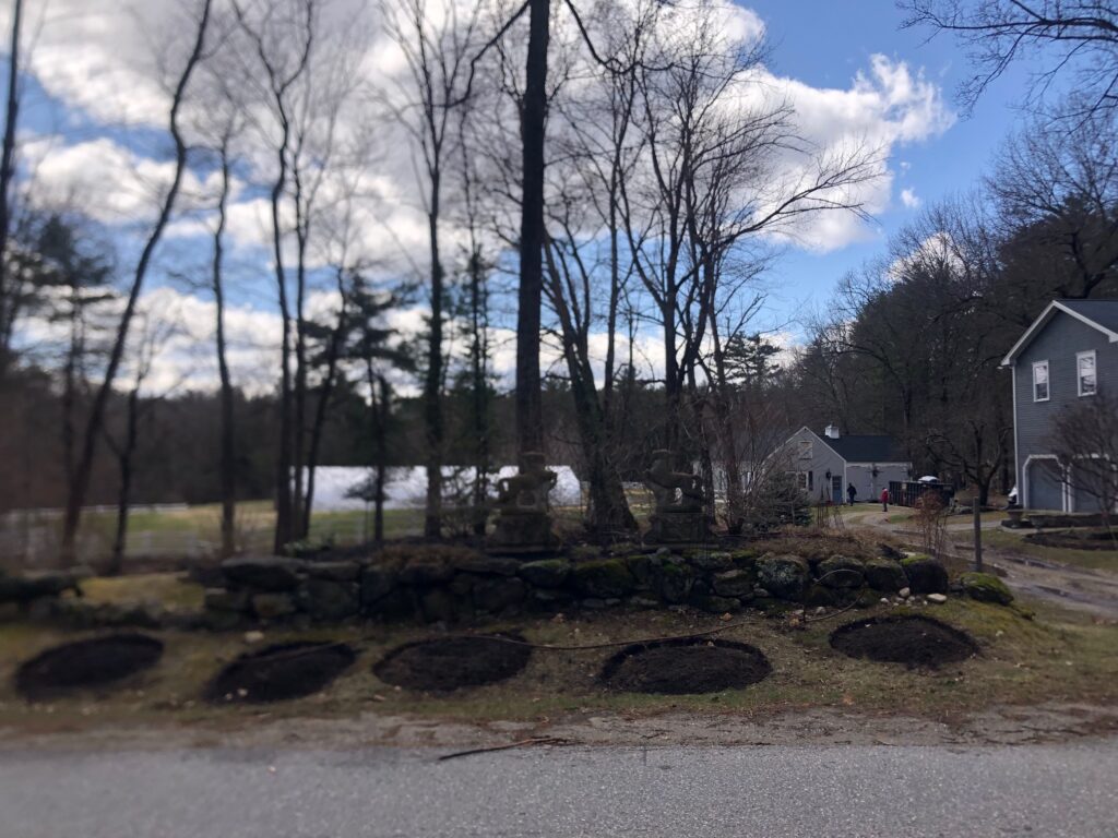 Spring Garden Maintenance in Bedford, NH.