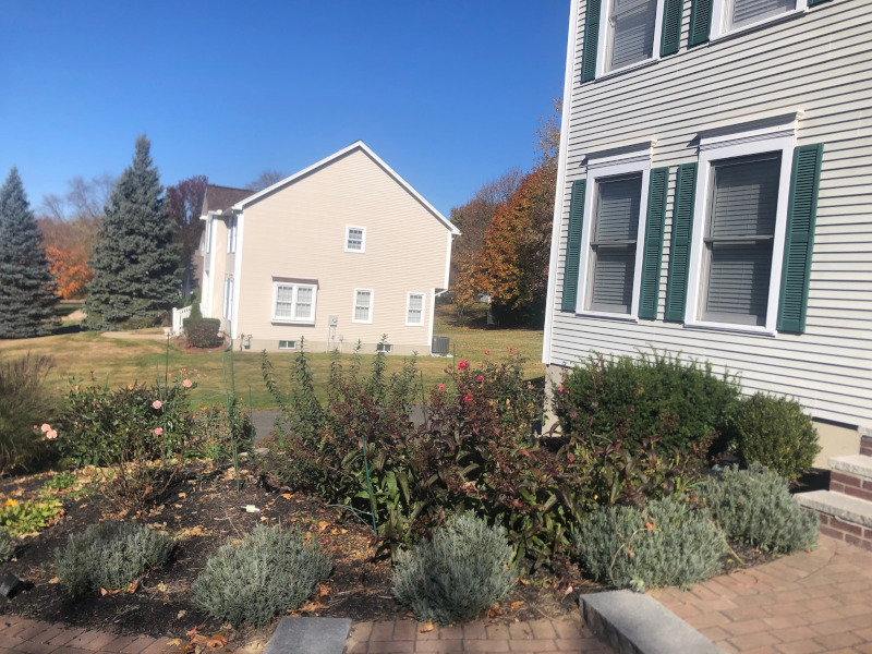 Greenleaf’s Garden Design returned to this Nashua, NH garden for maintenance and fall cleanup. The garden was planted last year.