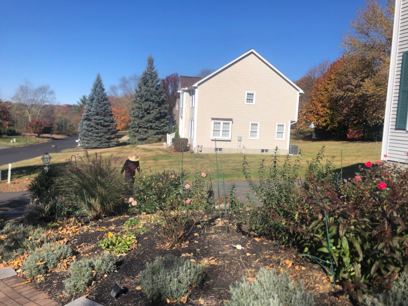 Greenleaf’s Garden Design returned to this Nashua, NH garden for maintenance and fall cleanup. The garden was planted last year.