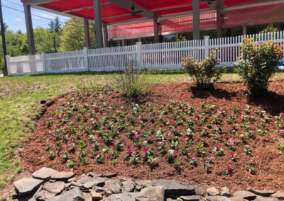 Garden Maintenance and Garden Design in Tyngsboro, MA.