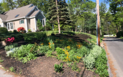 Garden Installation and Design in Littleton, MA.