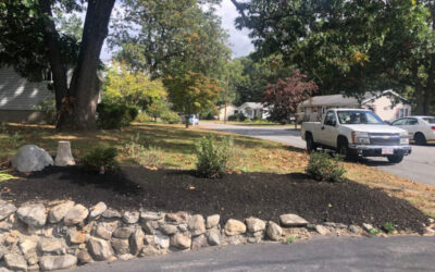 Shrub Installation in Westford, MA.