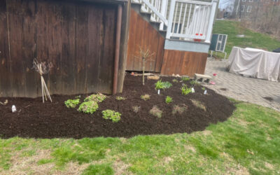 Spring Mulching Project in Groton, MA