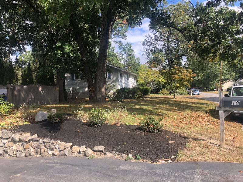 Shrub Installation in Westford, MA. 