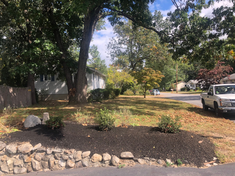 Shrub Installation in Westford, MA. 