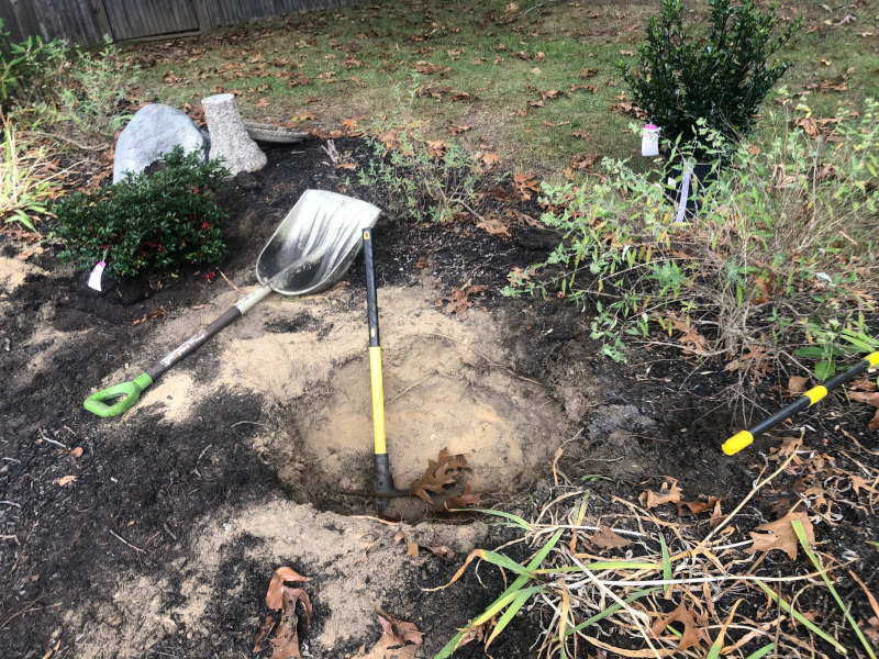 Shrub Installation in Westford, MA. 