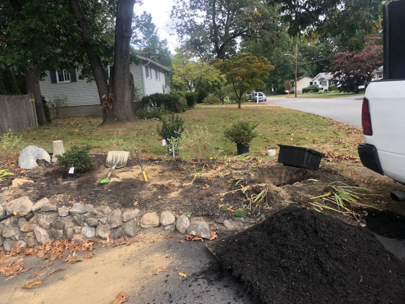 Shrub Installation in Westford, MA. 