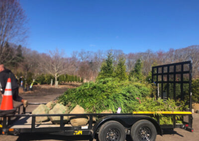 Shrub Planting in Nashua, NH.