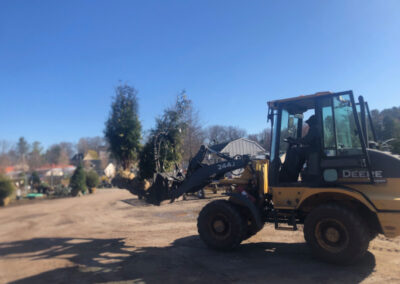 Shrub Planting in Nashua, NH.
