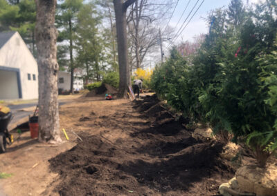 Shrub Planting in Nashua, NH.