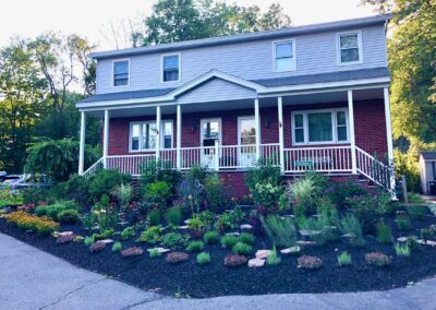 Goodbye Toasted Lawn Hello Color!!