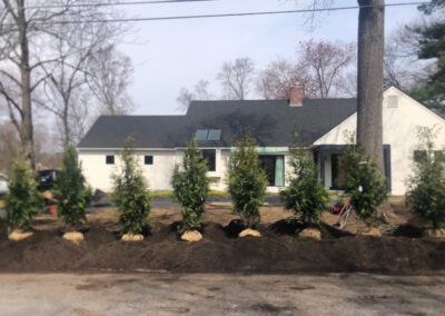 Shrub Planting in Nashua, NH.