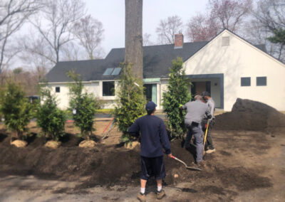 Shrub Planting in Nashua, NH.